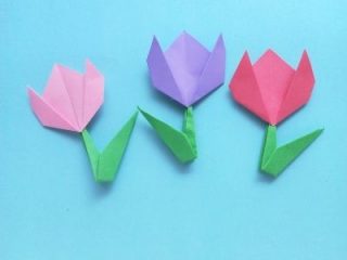 origami flower tulip