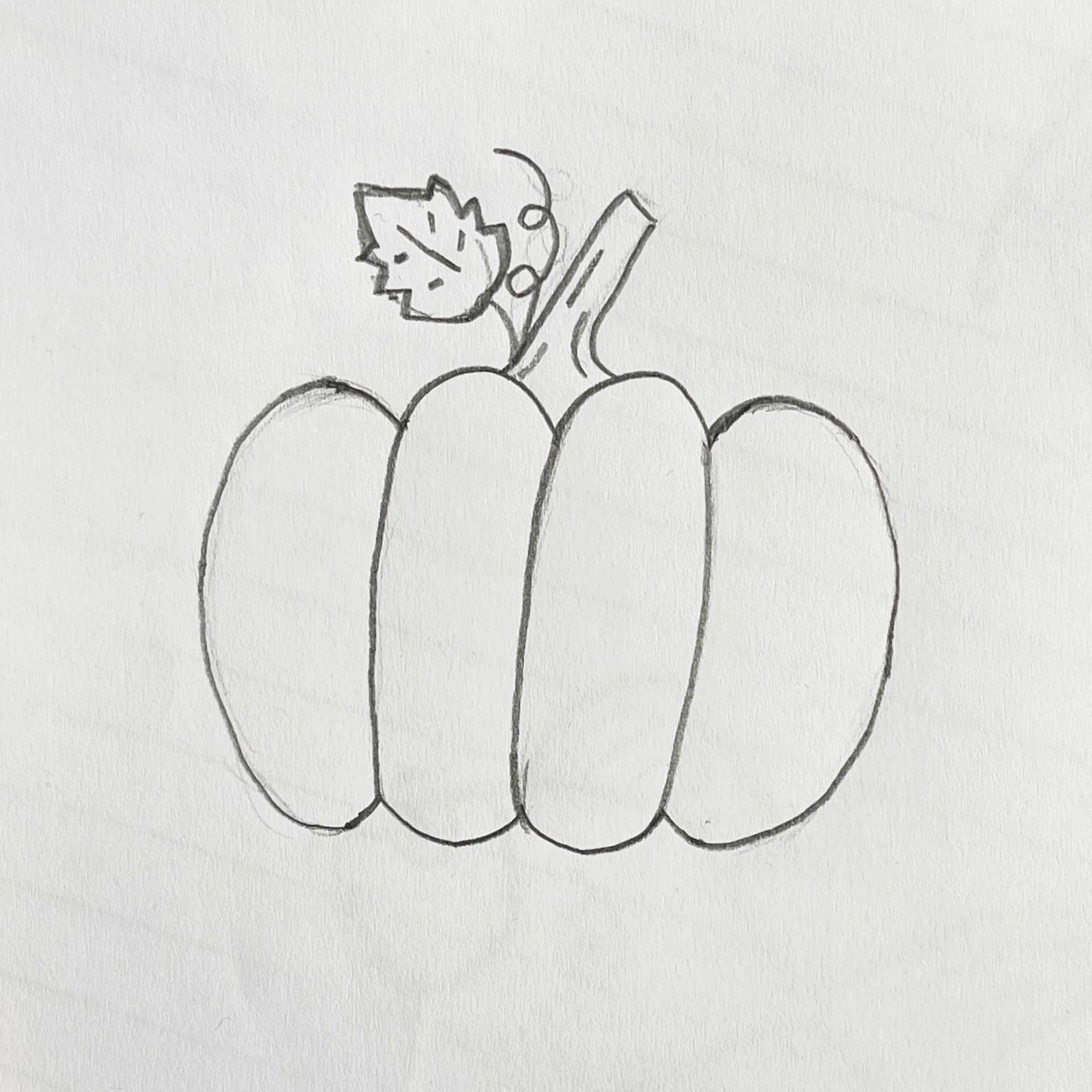 How to Draw a Pumpkin Easily Realistic Pumpkin Drawing Instructions