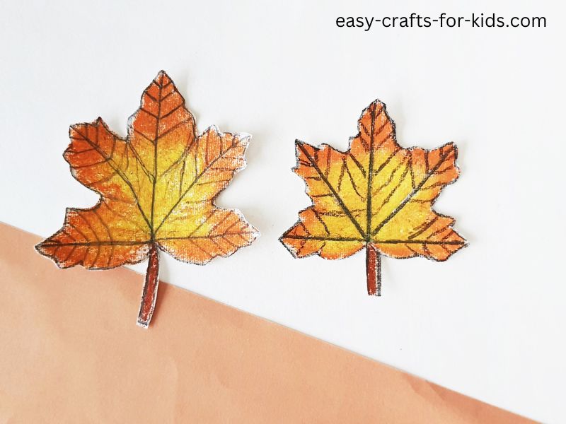 Draw the Missing Half: Leaf Art Study