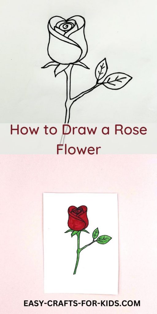 How to Draw a Rose Flower - Realistic Rose Drawing