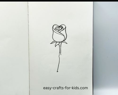 How To Draw A Prairie Rose Flower | Art For Kids Hub
