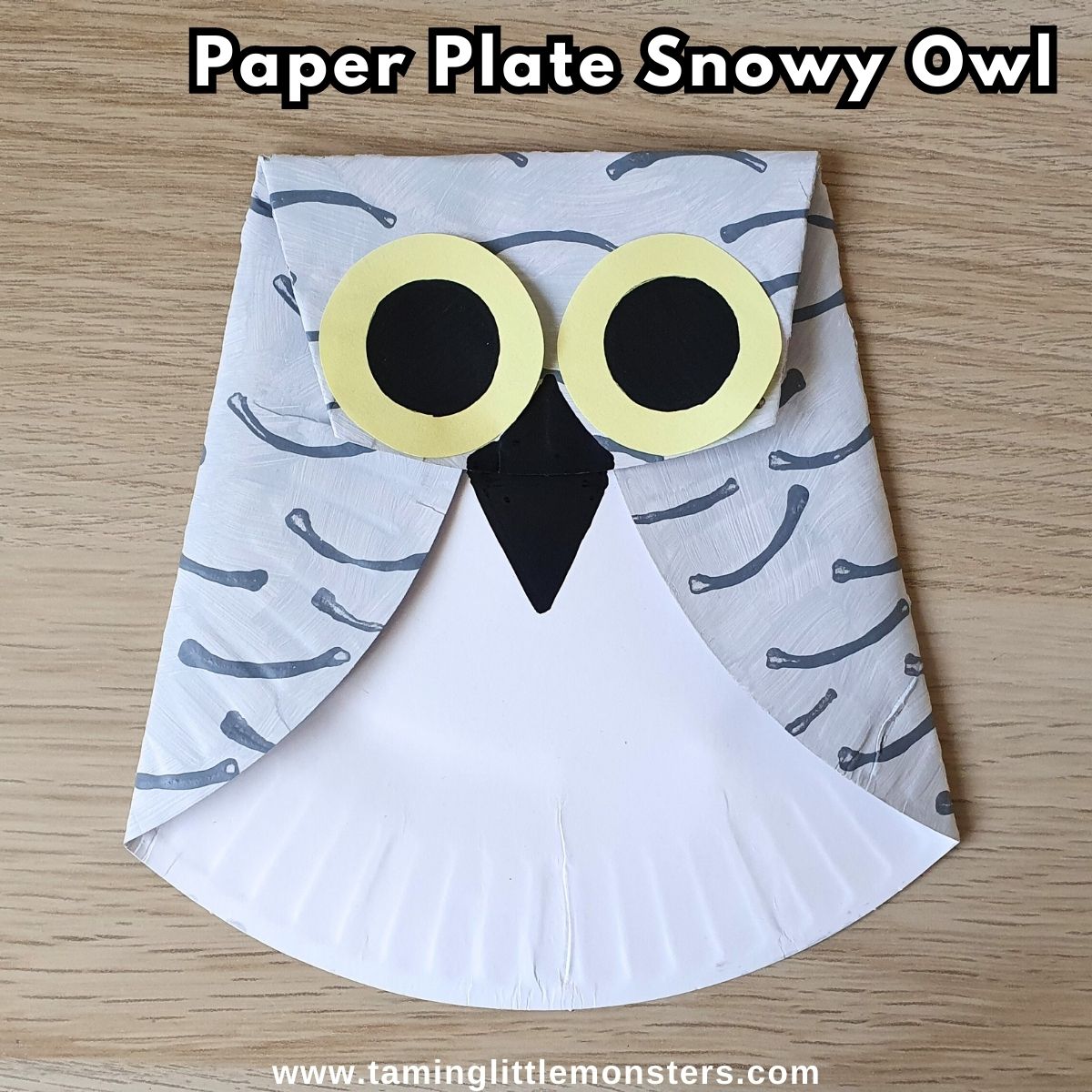 Cutest Owl Crafts for Kids - Easy Crafts For Kids